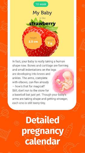 Pregnancy App and Baby Tracker ဖန်သားပြင်ဓာတ်ပုံ 3