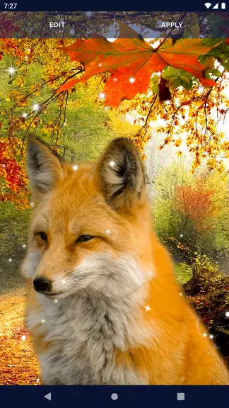 Parallax Nature Live Wallpaper Zrzut ekranu 4