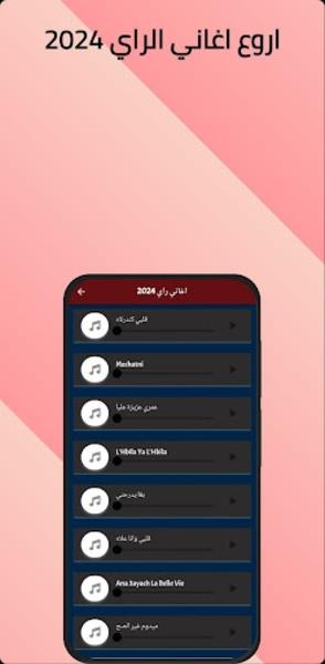 اغاني الراي 2024应用截图第4张
