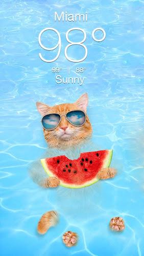 Schermata Weather Kitty - App & Widget 2