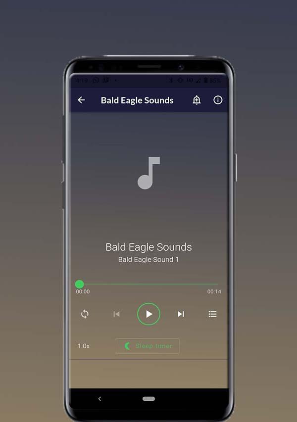 Bald Eagle Sounds應用截圖第2張