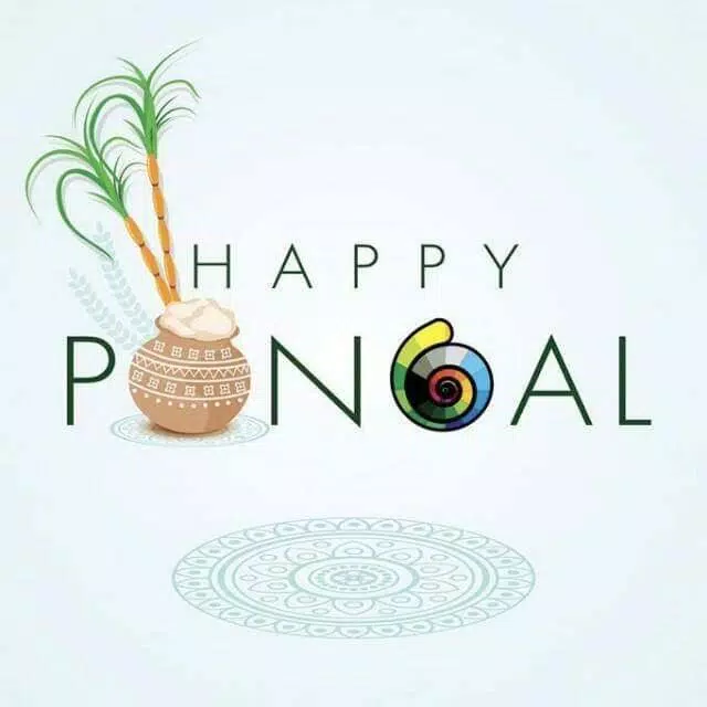 Happy Pongal Wishes应用截图第1张