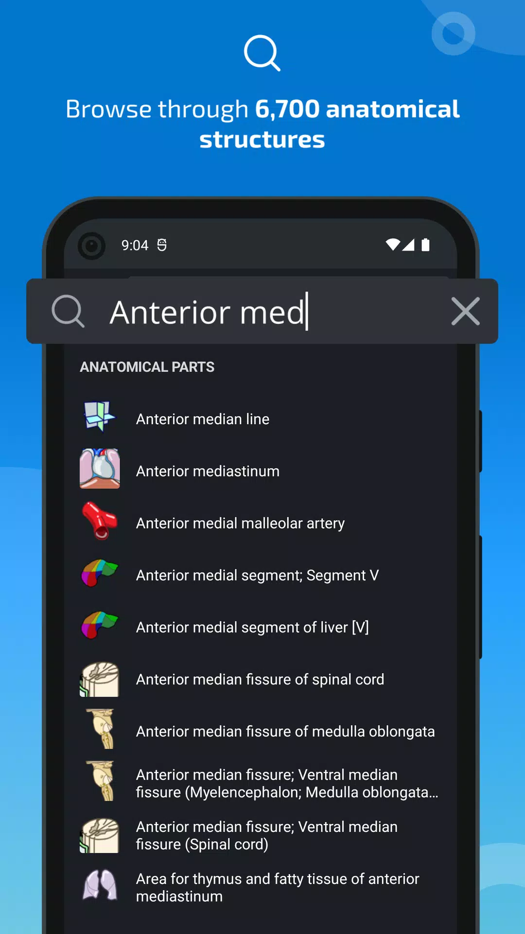 e-Anatomy Ảnh chụp màn hình 3