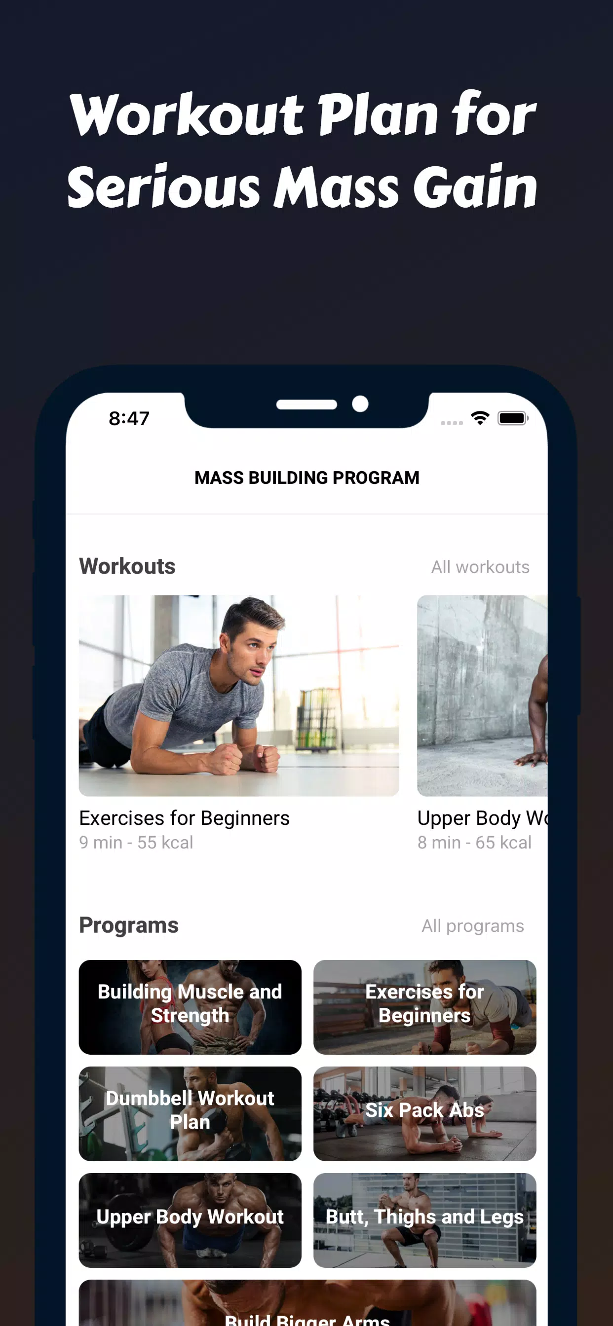 Mass Building Program Screenshot 2