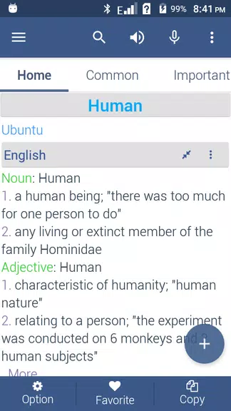 Schermata Zulu Dictionary Offline 3