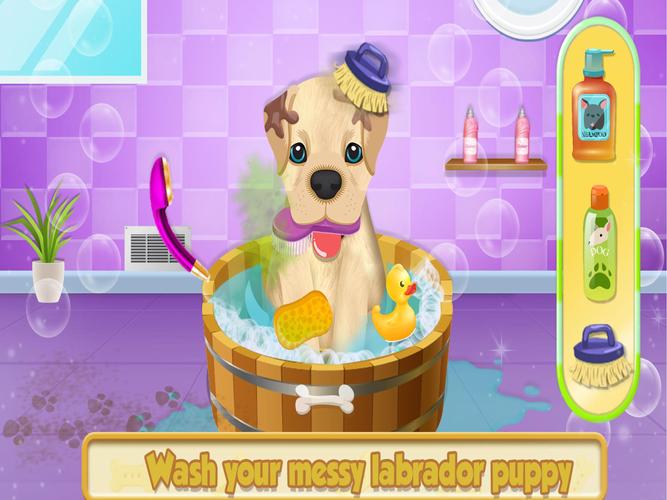 Cute Pet Dog Training Care 스크린샷 1
