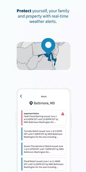 FEMA Screenshot 4