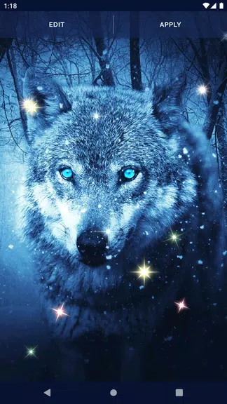 Night Wolf Live Wallpaper ဖန်သားပြင်ဓာတ်ပုံ 4
