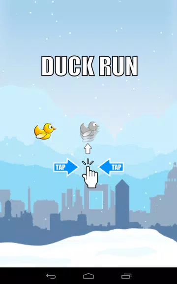 Duck Run 스크린샷 3