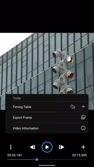 Frameskip - Video Timing Tool ภาพหน้าจอ 2