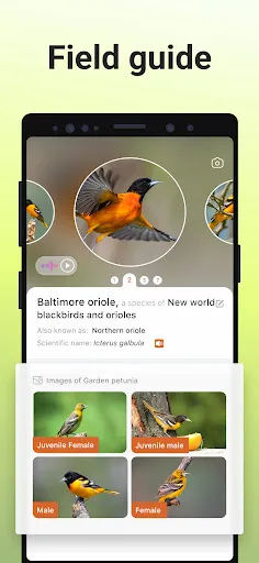 Picture Bird - Распознать птиц Скриншот 2