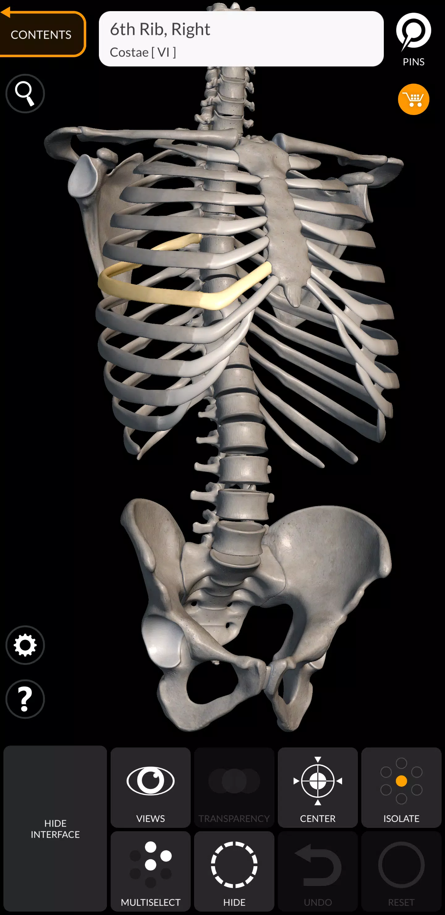Skeleton Tangkapan skrin 1