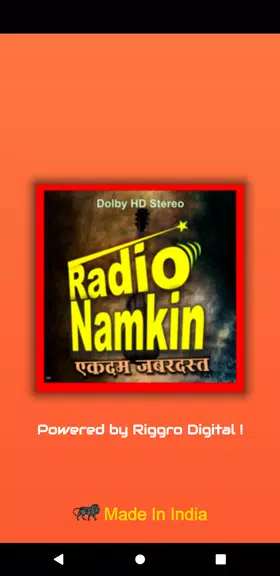 Radio Namkeen- FM Radio Online应用截图第1张