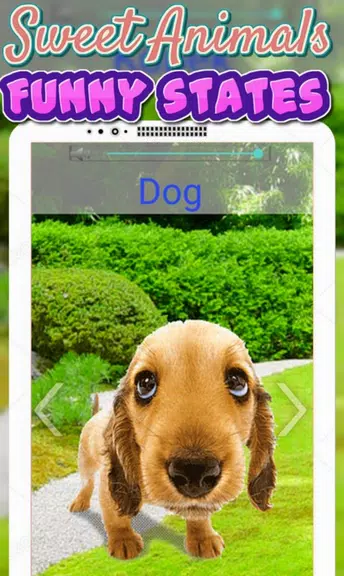 Animals Sounds For Kids 스크린샷 4
