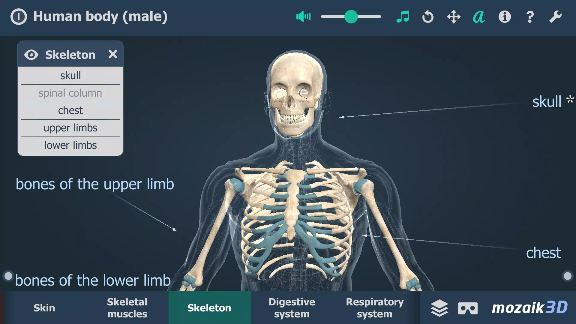 Human body (male) 3D scene應用截圖第3張