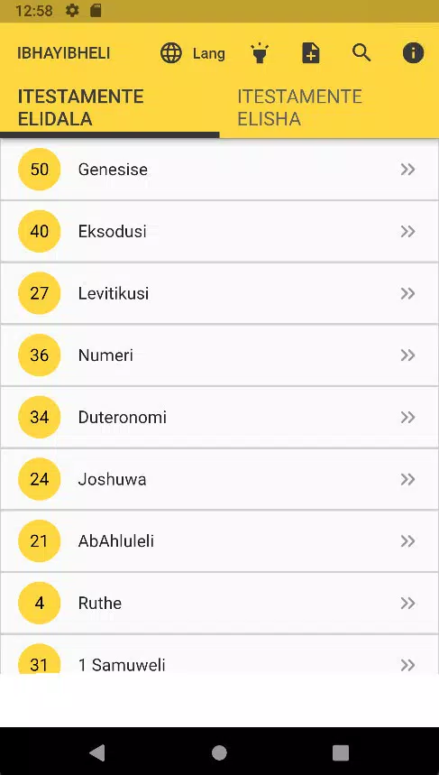 Zulu Bible IBHAYIBHELI Screenshot 2