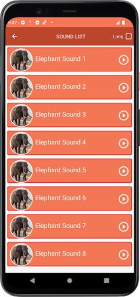 Elephant Sounds Скриншот 1