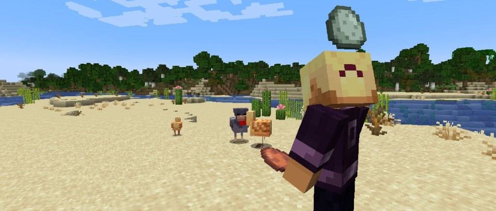 ตัวแปรไก่ใน Minecraft