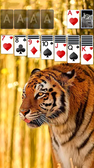 Solitaire Tiger Theme स्क्रीनशॉट 1