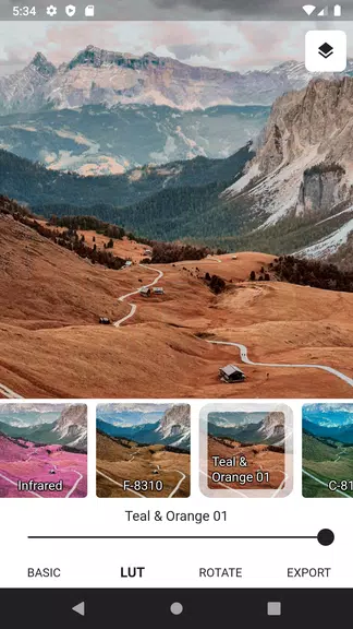 3DLUT mobile 2应用截图第3张