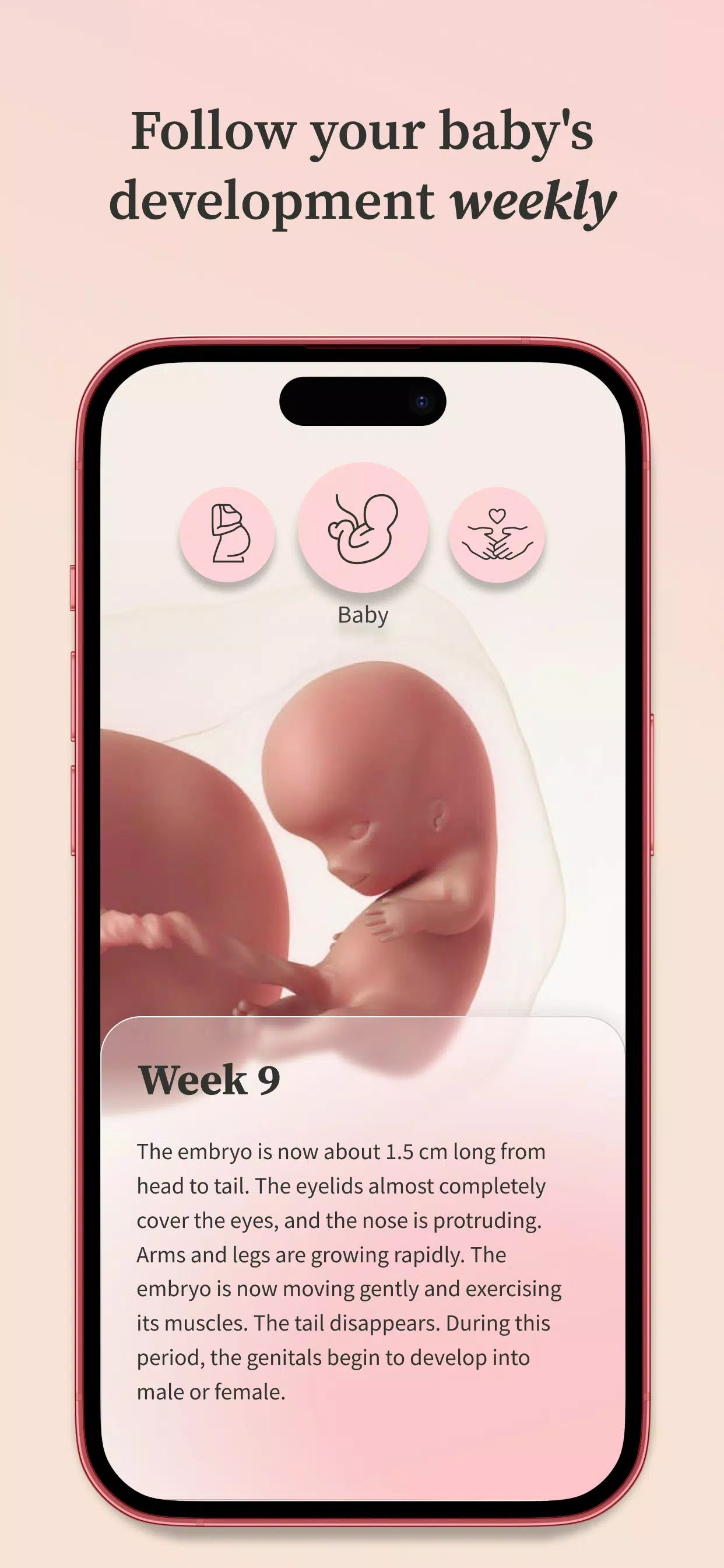 Preglife ภาพหน้าจอ 3