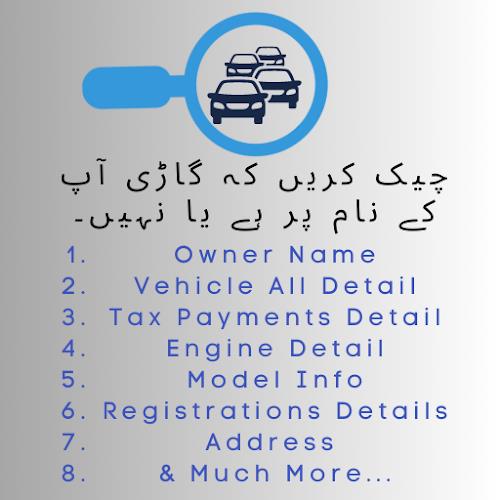 Vehicle Verification Pakistan ဖန်သားပြင်ဓာတ်ပုံ 1