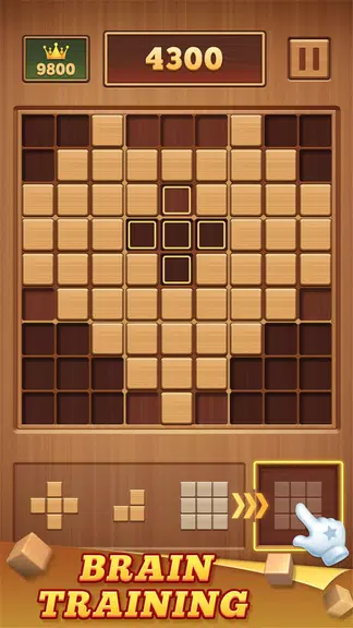 Wood Block 99 - Sudoku Puzzle Captura de pantalla 2