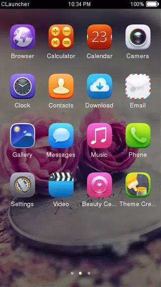 Pink Roses Theme C Launcher Скриншот 2
