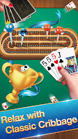 Cribbage - Card Game স্ক্রিনশট 2