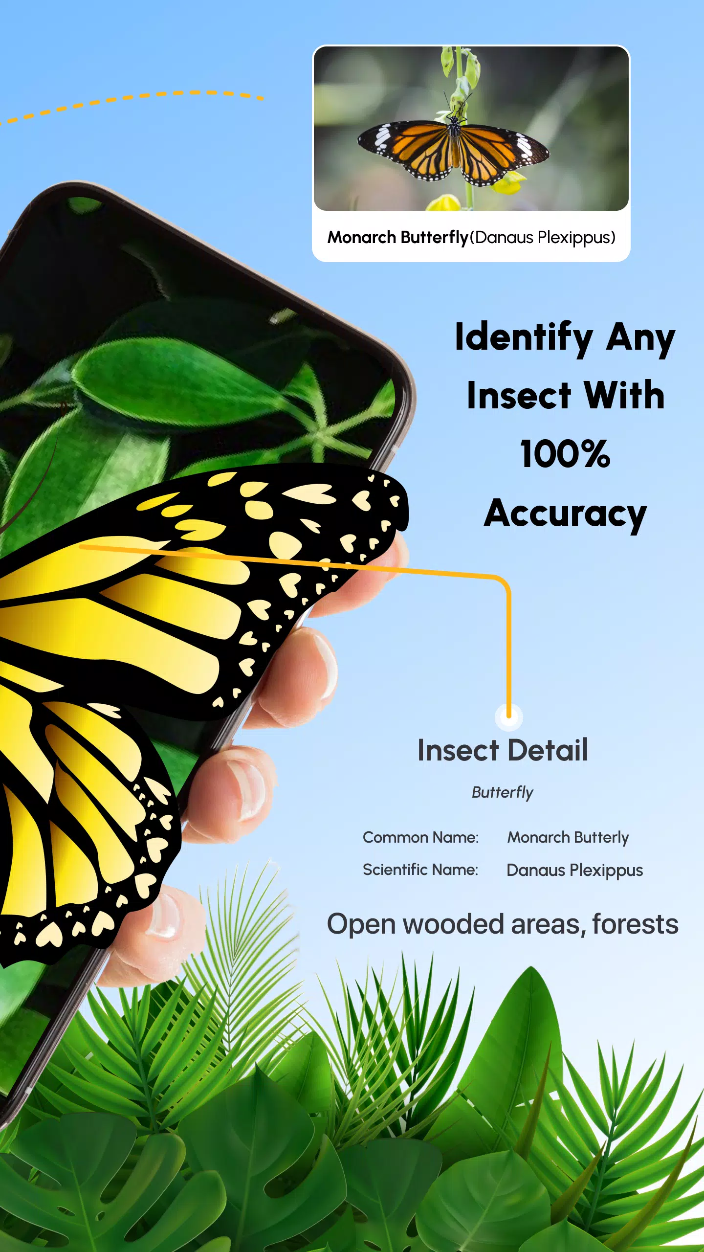 Insect Identifier Bug Identify Captura de tela 2