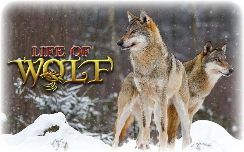 Wolf Life Simulator應用截圖第1張