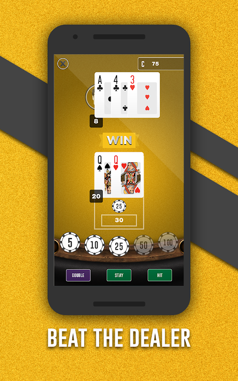 Fortune Joe Casino應用截圖第4張