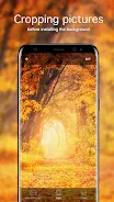 Schermata Autumn Wallpapers 4K 4