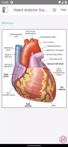ECG Notes: Quick look-up ref.应用截图第3张