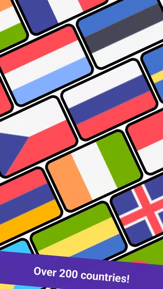 Geomi — Flags & Countries Ảnh chụp màn hình 2