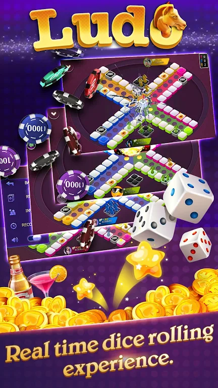 Ludo Burma Ekran Görüntüsü 2