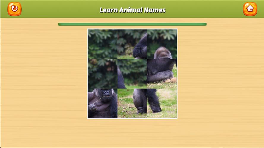 Learn Animal Names应用截图第4张