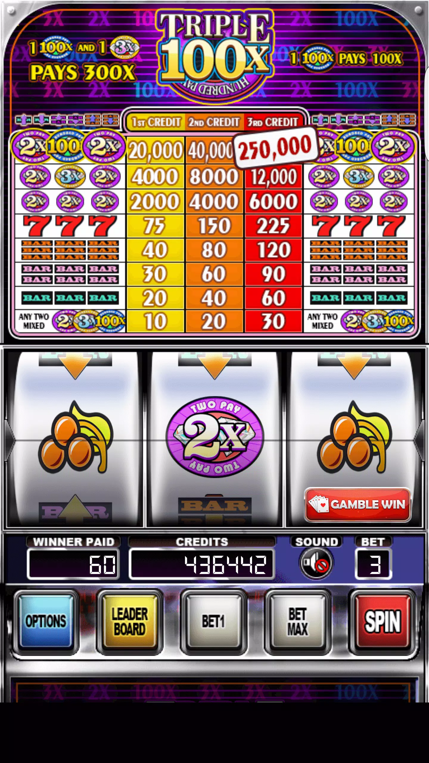 Double Wild Slots 스크린샷 2