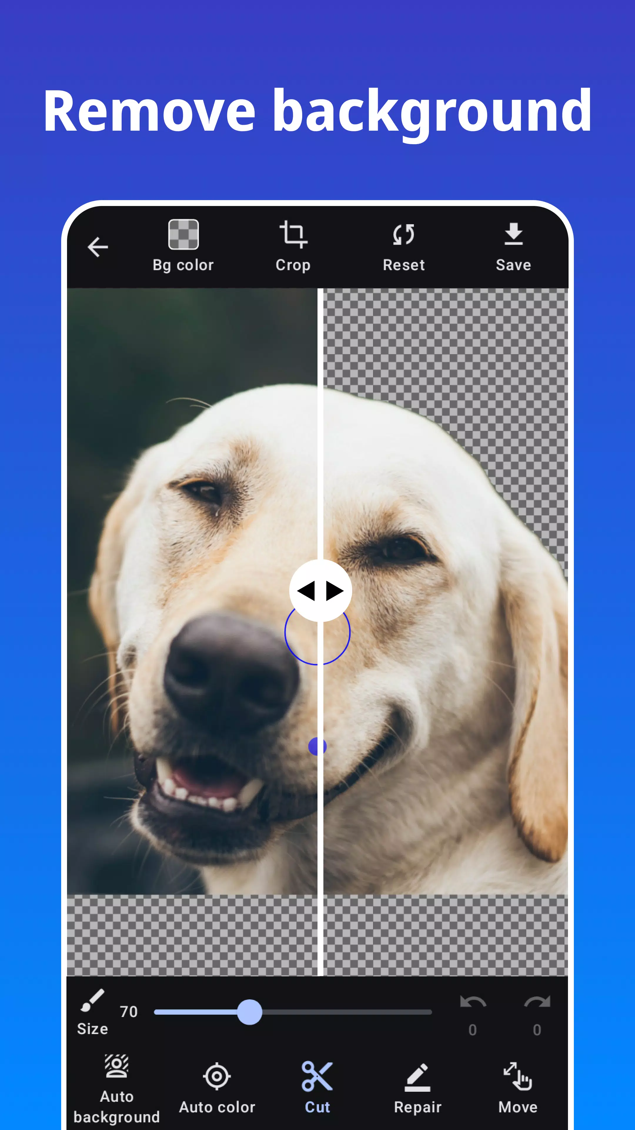 Photo Blur স্ক্রিনশট 3