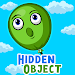 Hunting Hidden Object