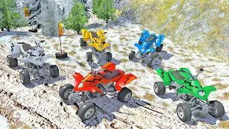 ATV Super Speed Simulator Ảnh chụp màn hình 4