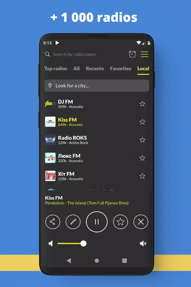 Radio Ukraine FM online Screenshot 1