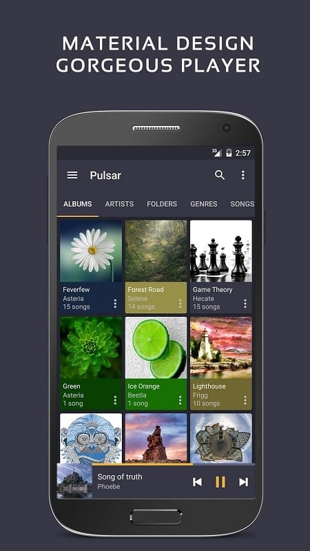 Pulsar Music Player Pro ภาพหน้าจอ 1