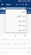 English Urdu Dictionary 스크린샷 4