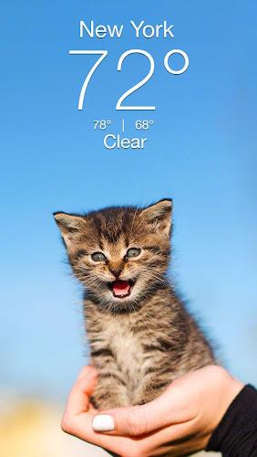 Schermata Weather Kitty - App & Widget 1