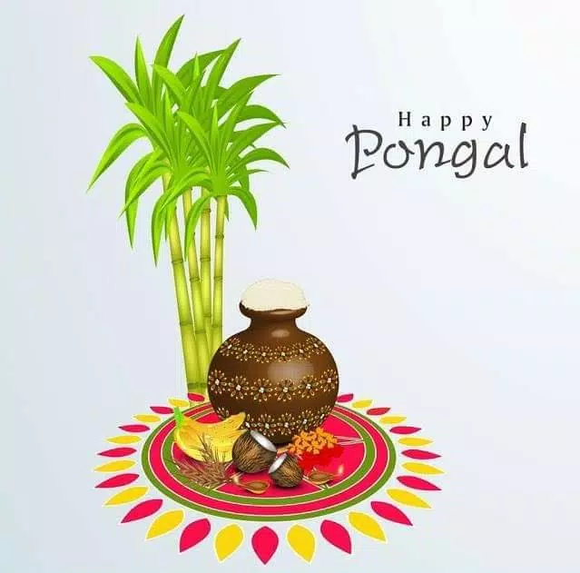 Happy Pongal Wishes应用截图第2张