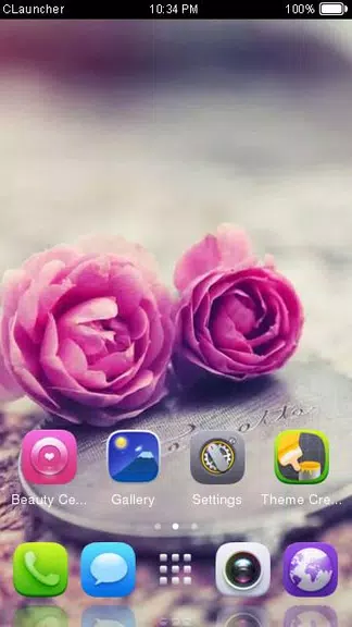 Pink Roses Theme C Launcher Скриншот 3