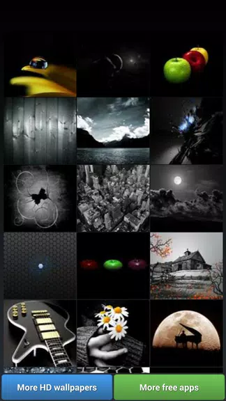 Black Theme HD Wallpapers應用截圖第2張