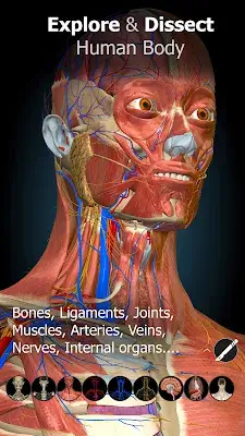 Anatomy Learning - 3D Anatomy 스크린샷 1