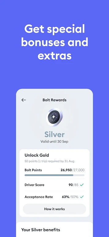 Bolt Driver: Drive & Earn Zrzut ekranu 2